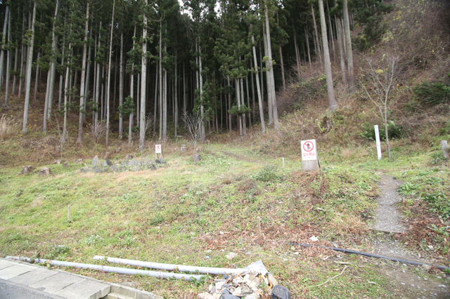 201612021210 裏山登り口か w800 IMG_6095.jpg