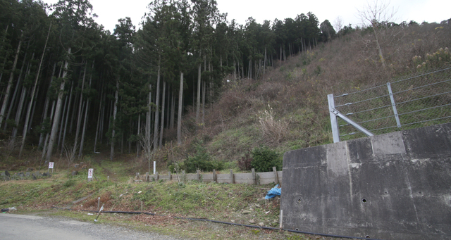 201612021213 擁壁東端 w1024 IMG_6103.jpg