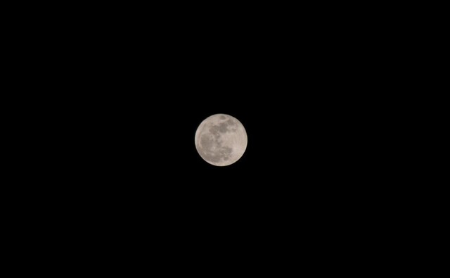 20180102201902 300mm w1024 DSC_9700.jpg
