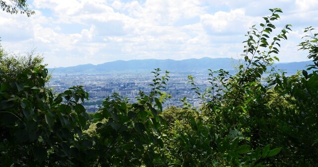 201807231301山頂公園展望台から w1280 P1280421.jpg