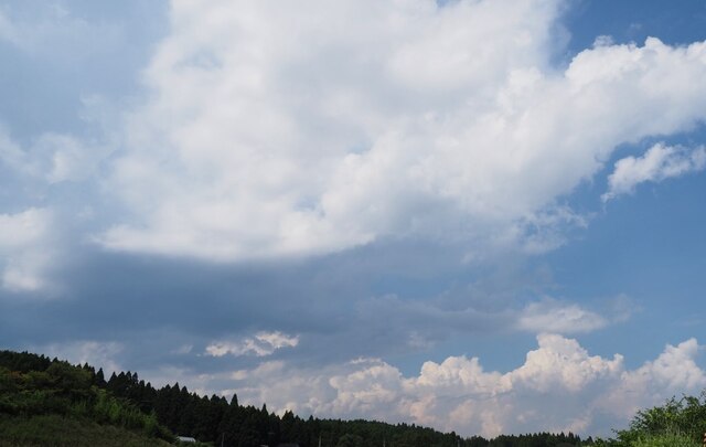 202108041319 夏の雲 w1024 P8040025.jpg