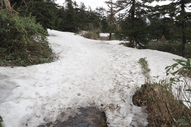 202206011430 雪道 w1024 P6010421.jpg