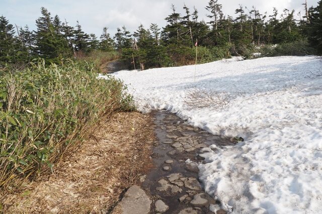 202206011551 また雪道 w1024 P6010659.jpg