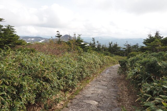 202206011607 畚見ながら下り w1024 P6010690.jpg