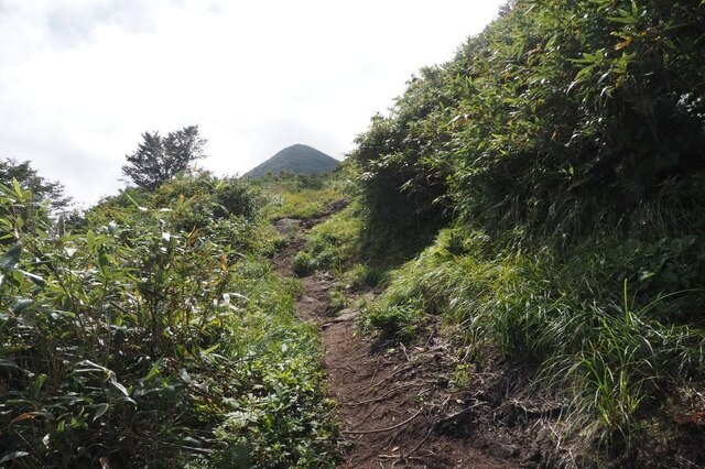 202209131036 秣岳山頂 w1024 P9130162.jpg