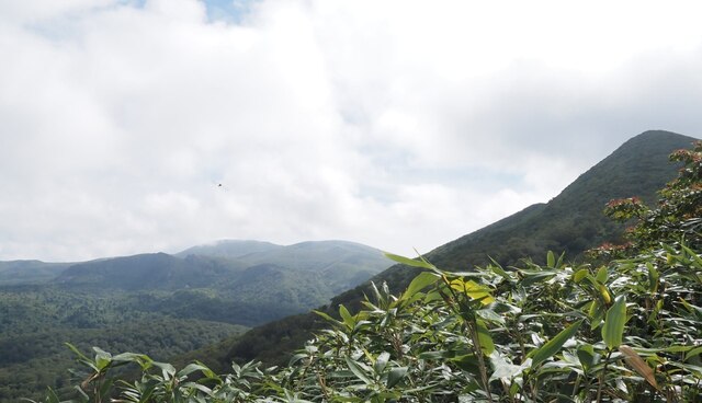 202209131045 左山頂方向 w1280 P9130199.jpg