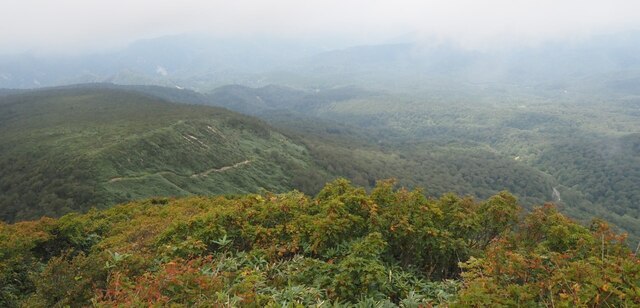 202209131202 登山口から平山 w1280 P9130277.jpg