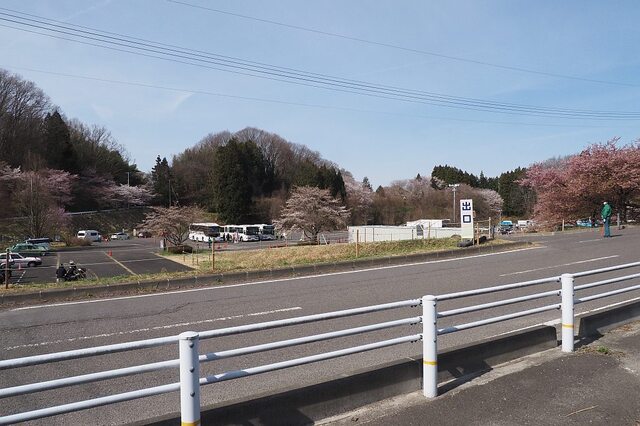 202404110855 駐車場 w1024 P4110454.jpg
