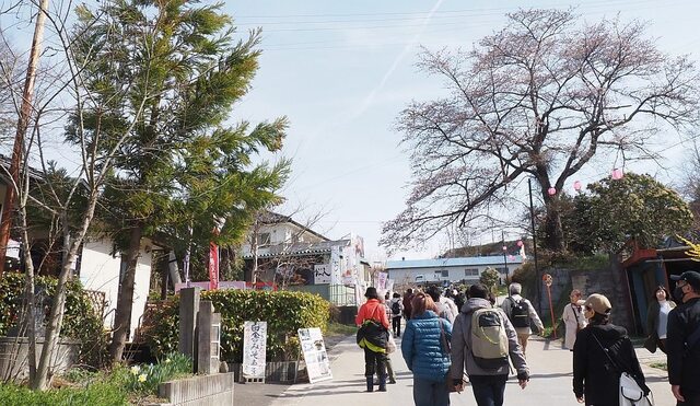 202404110902 門前町 w1024 P4110468.jpg