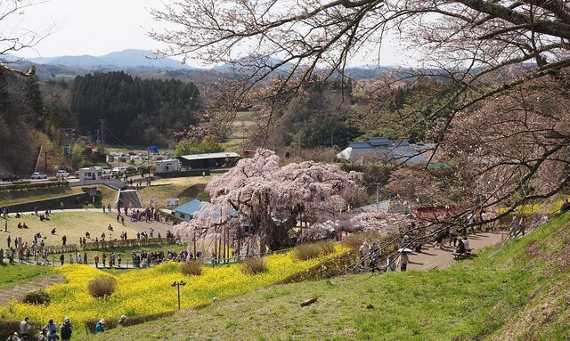 202404110938 北側から w1280 P4110653.jpg