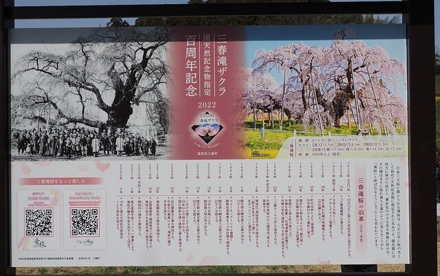 202404110952 国天然記念物指定百周年記念看板 w1280 P4110725.jpg