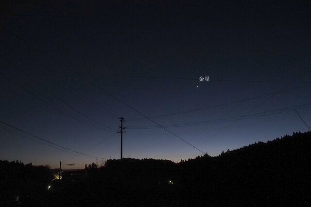 202502271813 宵の明星 w1280 P2270120.jpg