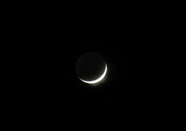 5年後の311 月齢2 W640 IMG_3580.jpg